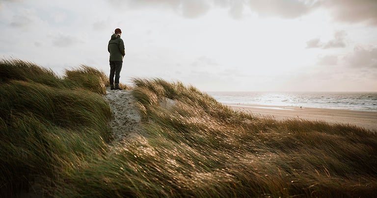 Teaser wide 885x466 frank-van-hulst-Sew9nudIVek-unsplash