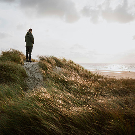 Kvadratisk 466x466 frank-van-hulst-Sew9nudIVek-unsplash
